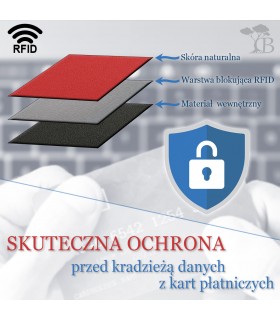 Męski portfel skórzany klasyczny Beltimore brązowy D30- krateczka.pl